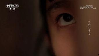 国产重口味视频,揭秘刺激感官的视觉盛宴  第3张